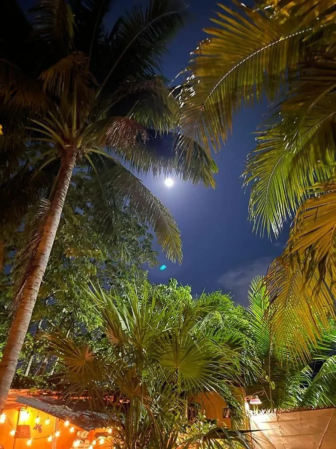 Pensjonat Hotel Quinta Salamandra Playa del Carmen