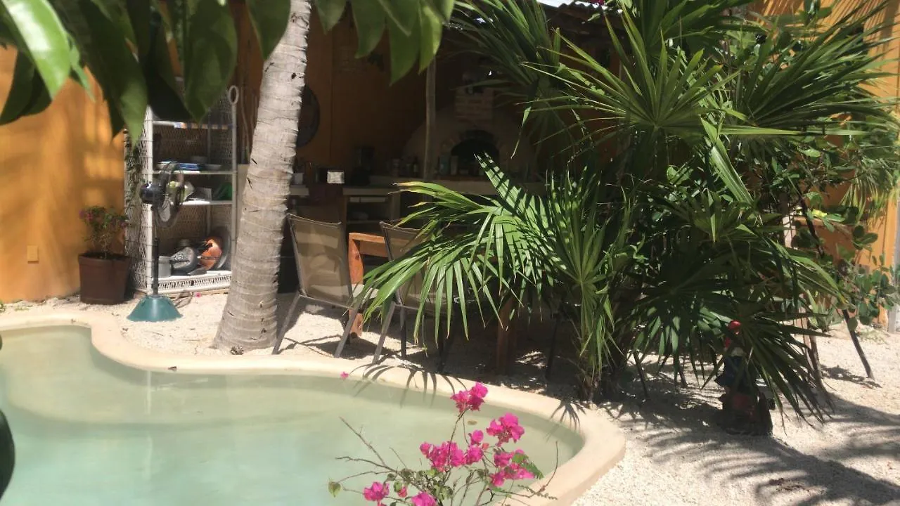 Hotel Quinta Salamandra Playa del Carmen 0*,