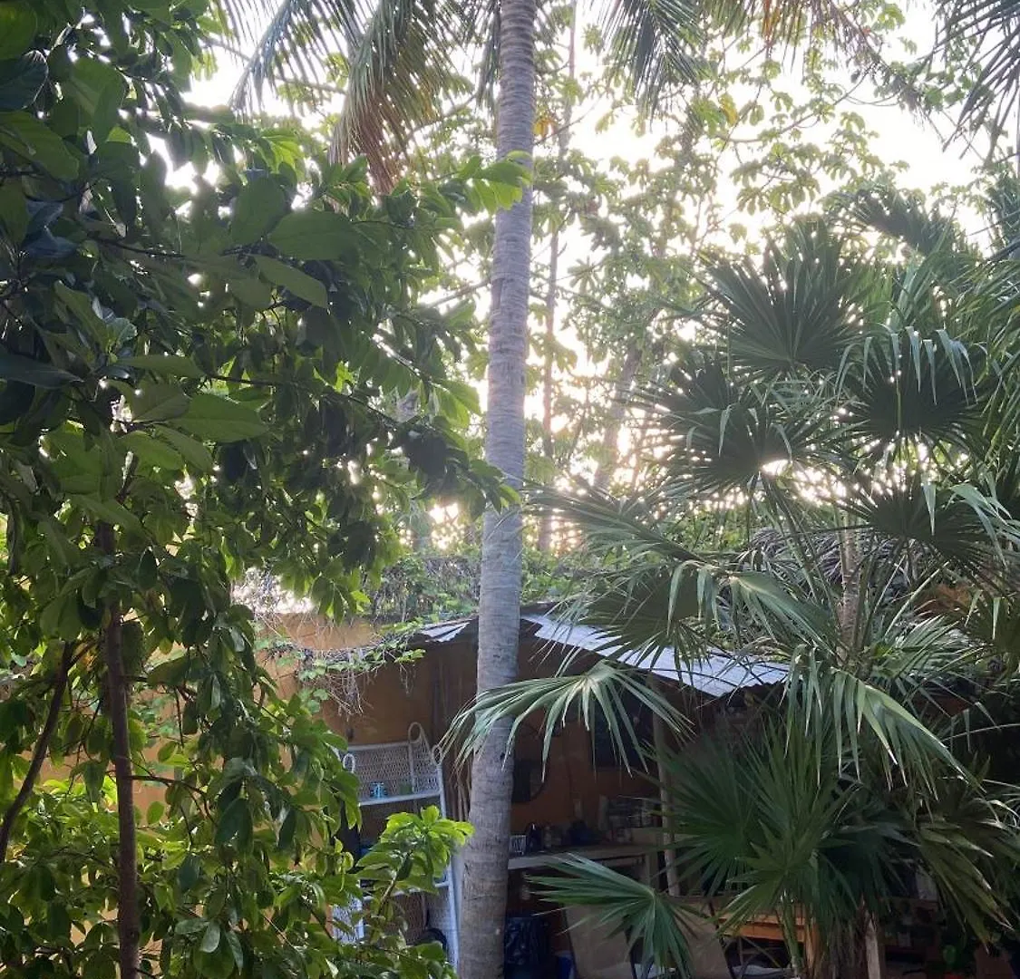 Hotel Quinta Salamandra Playa del Carmen Pensjonat