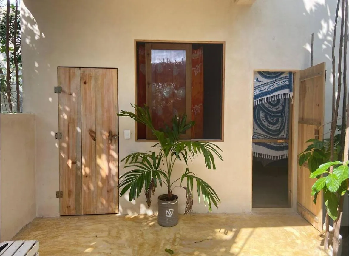 Pensjonat Hotel Quinta Salamandra Playa del Carmen Meksyk