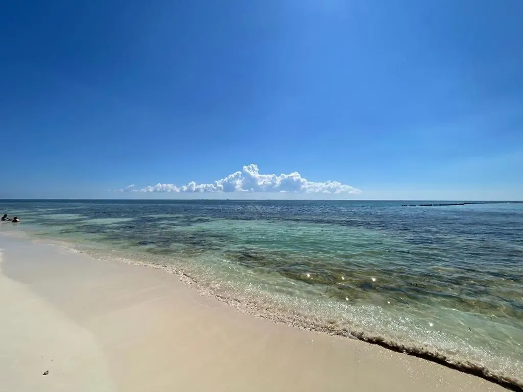 Quinta Salamandra Hotel Playa del Carmen