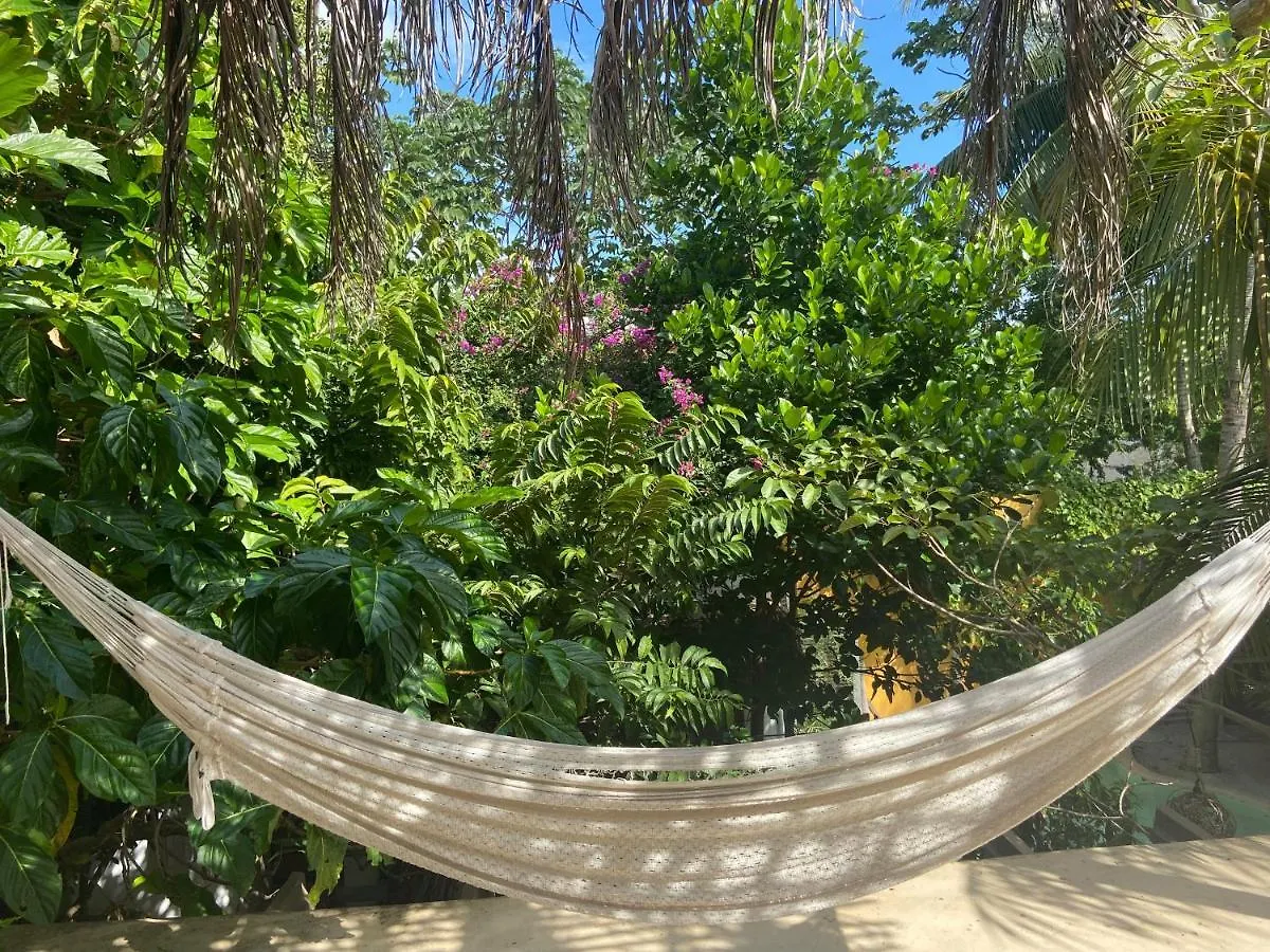 Quinta Salamandra location