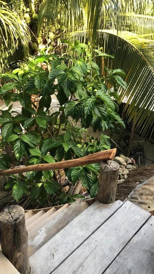 Quinta Salamandra Hotel Playa del Carmen 0*,  Mexico