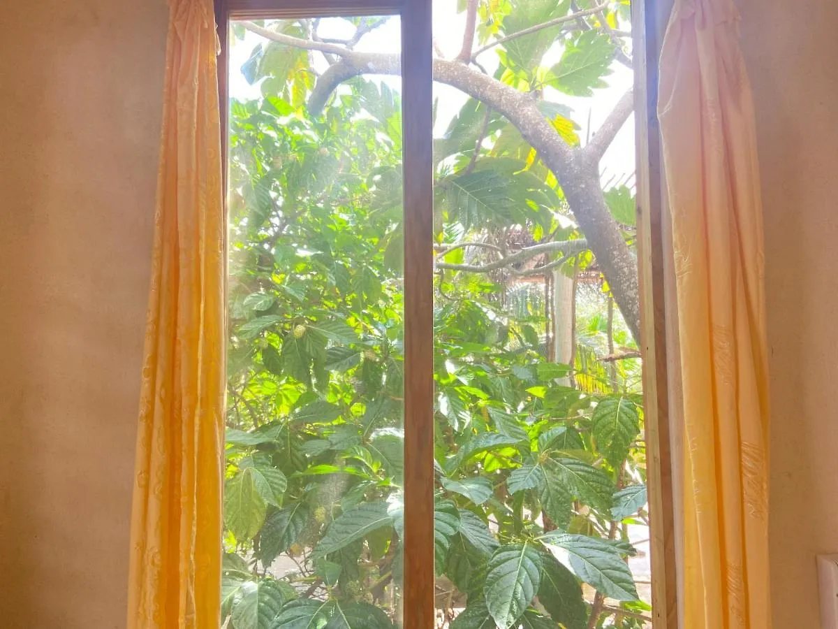 Guest house Quinta Salamandra Hotel Playa del Carmen