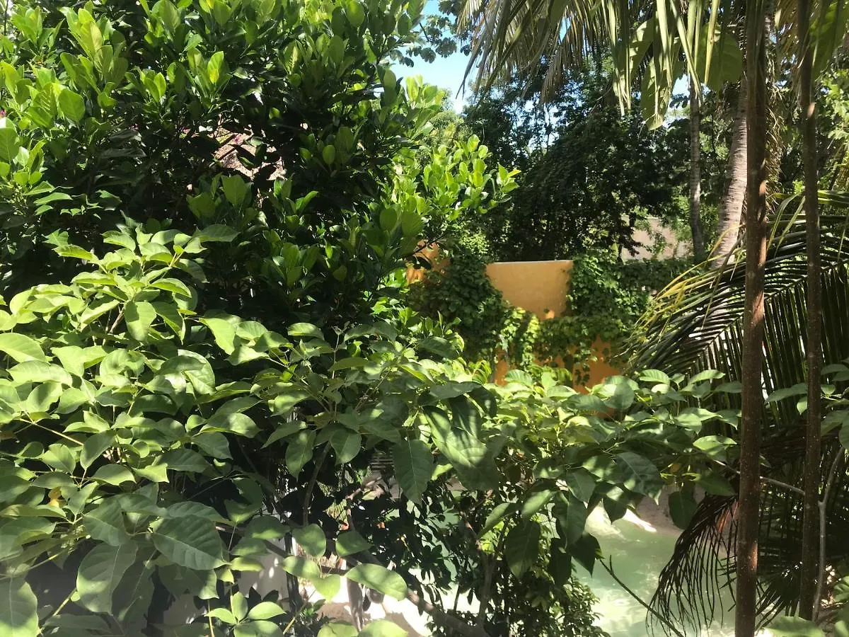Guest house Quinta Salamandra Hotel Playa del Carmen