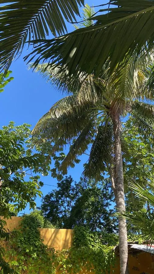 Quinta Salamandra Hotel Playa del Carmen Guest house