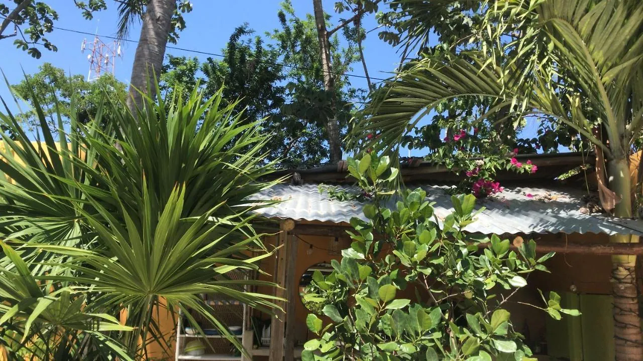 Quinta Salamandra Hotel Playa del Carmen
