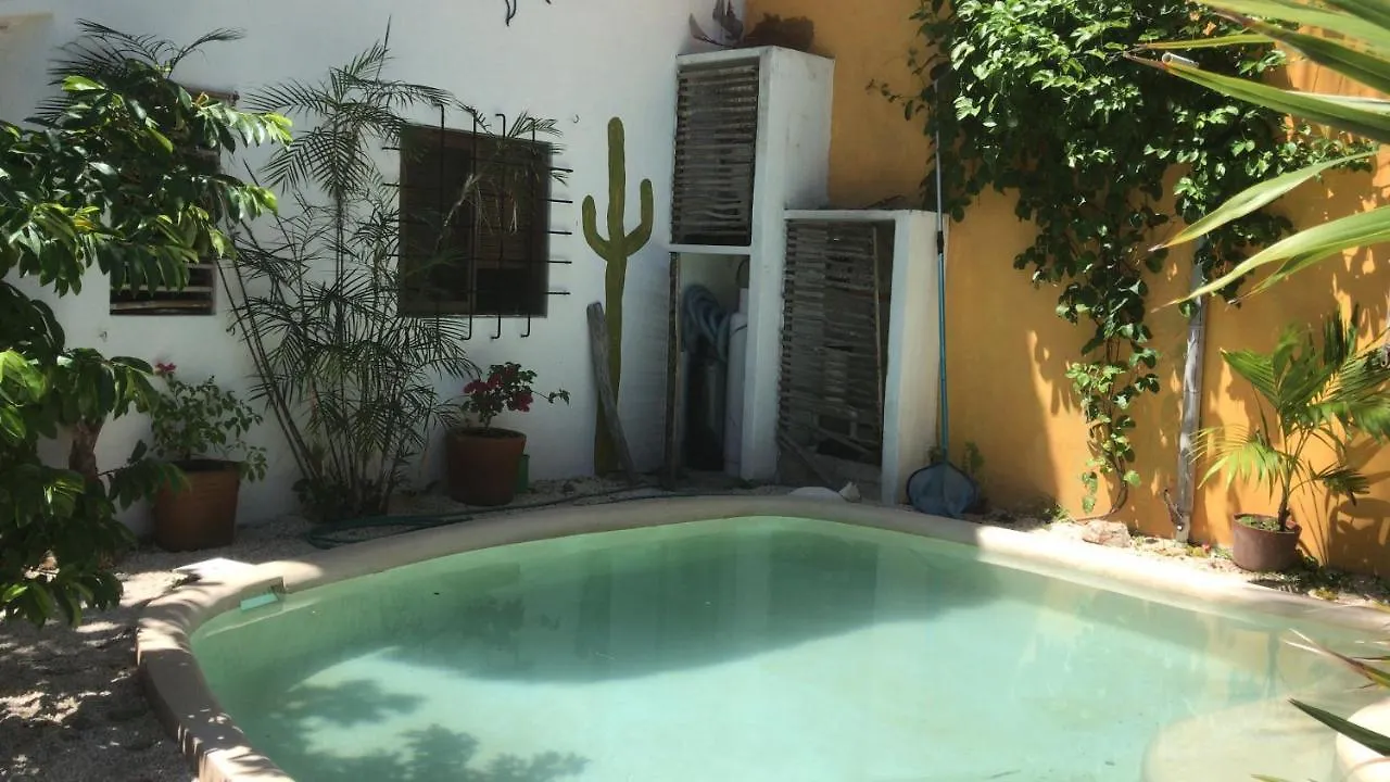 Quinta Salamandra Hotel Playa del Carmen