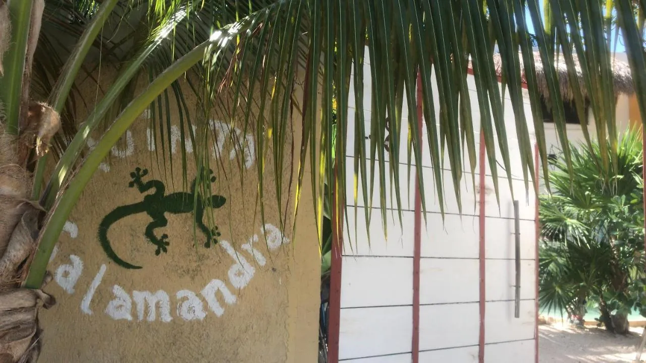 Guest house Quinta Salamandra Hotel Playa del Carmen