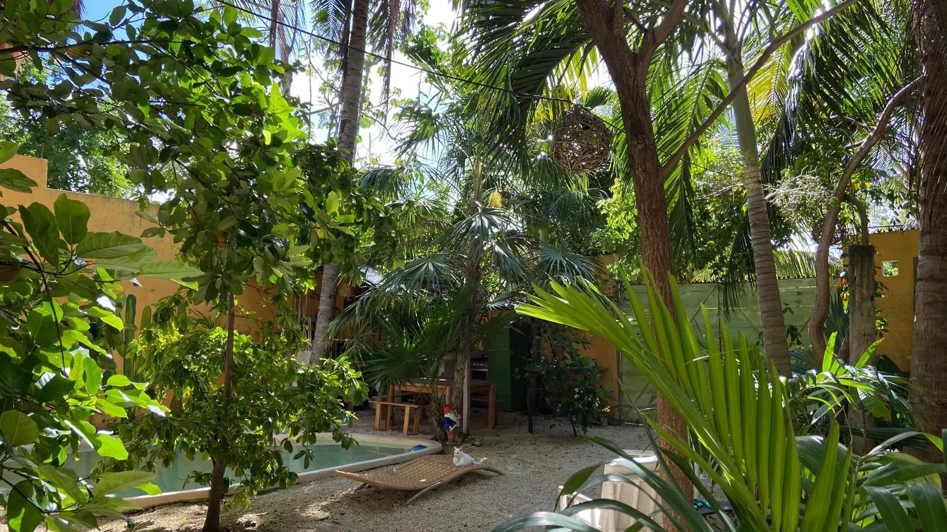 Quinta Salamandra Hotel Playa del Carmen Mexico