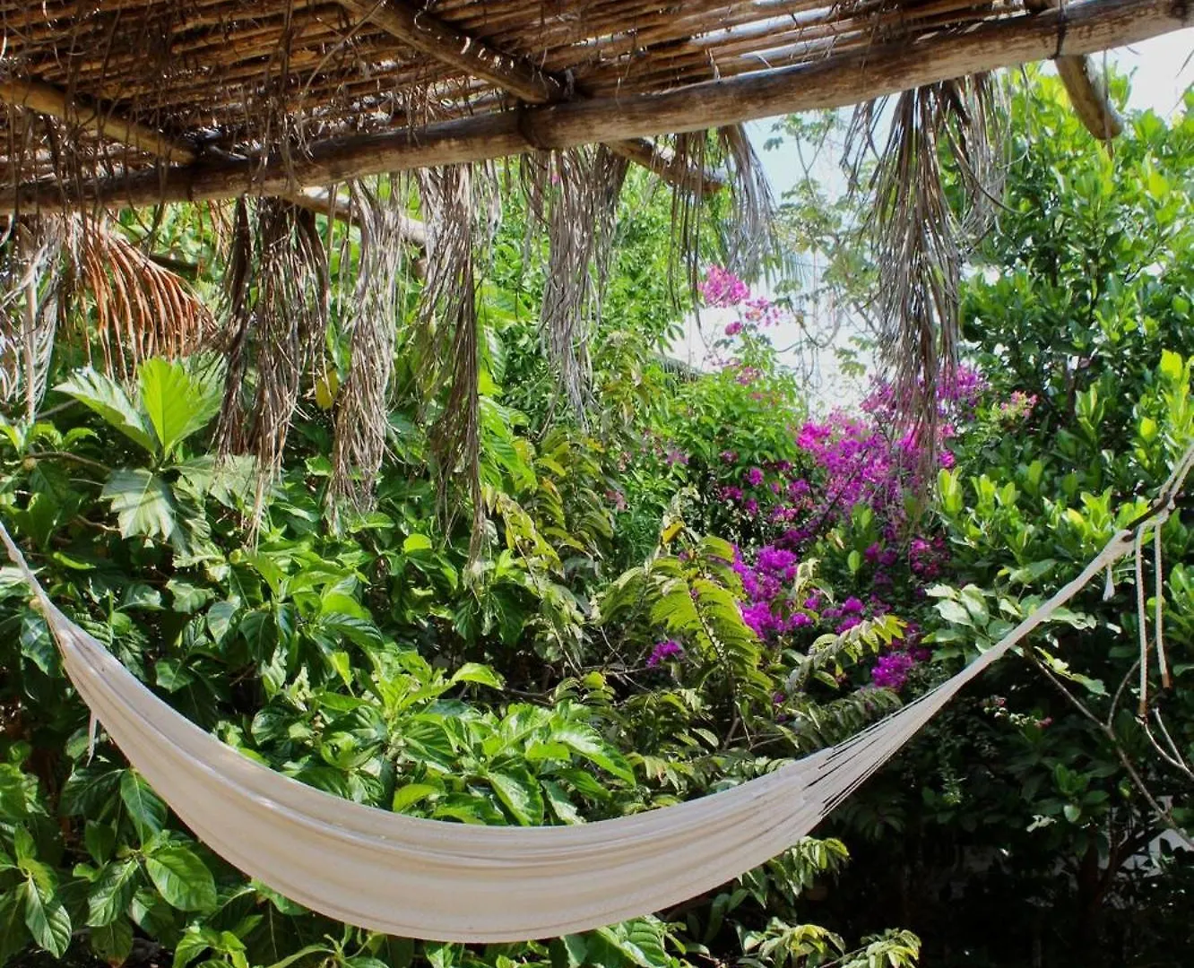Quinta Salamandra Hotel Playa del Carmen Guest house