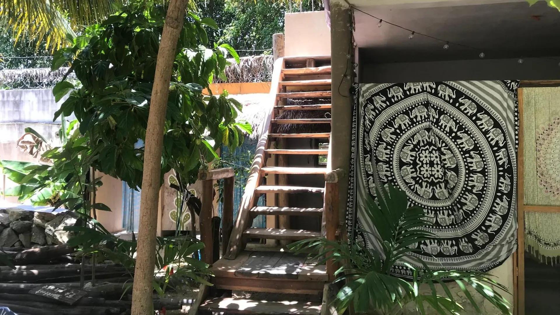 Guest house Quinta Salamandra Hotel Playa del Carmen