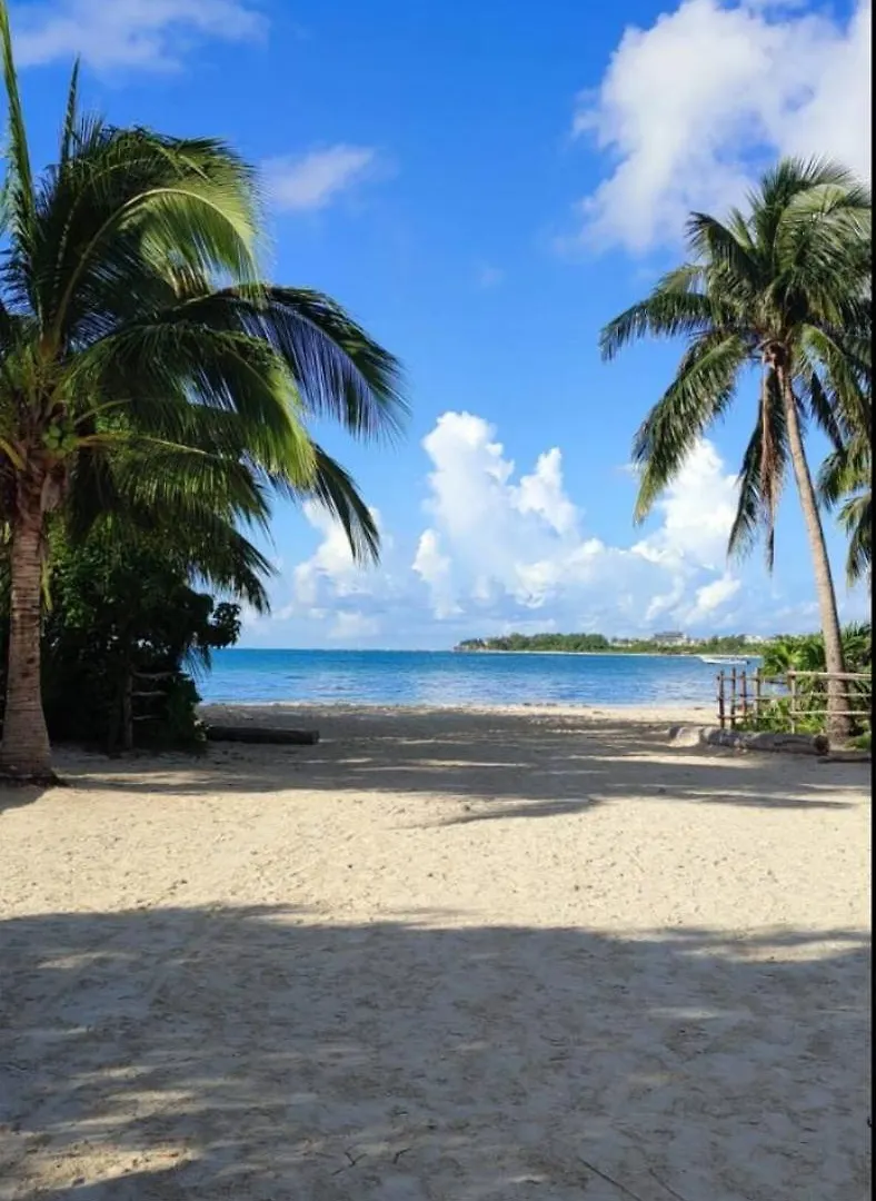 Quinta Salamandra Hotel Playa del Carmen Guest house