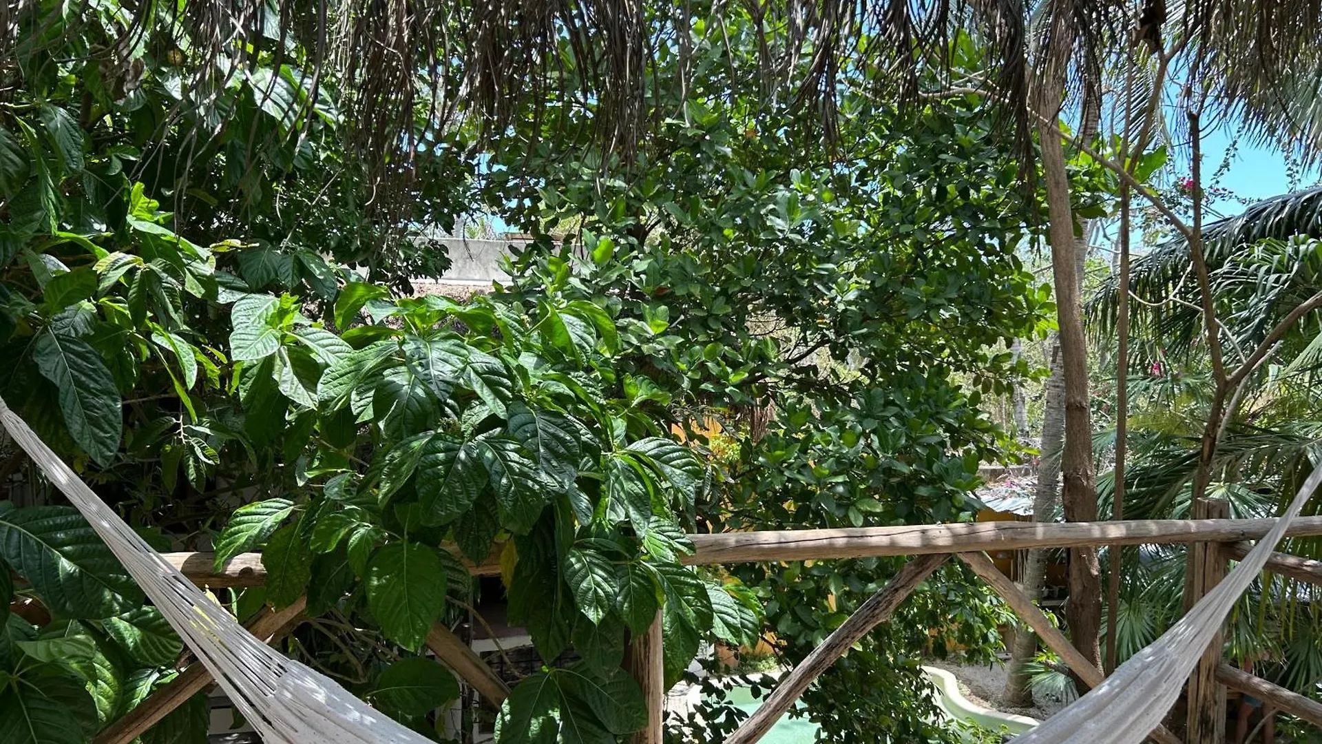 Guest house Quinta Salamandra Hotel Playa del Carmen