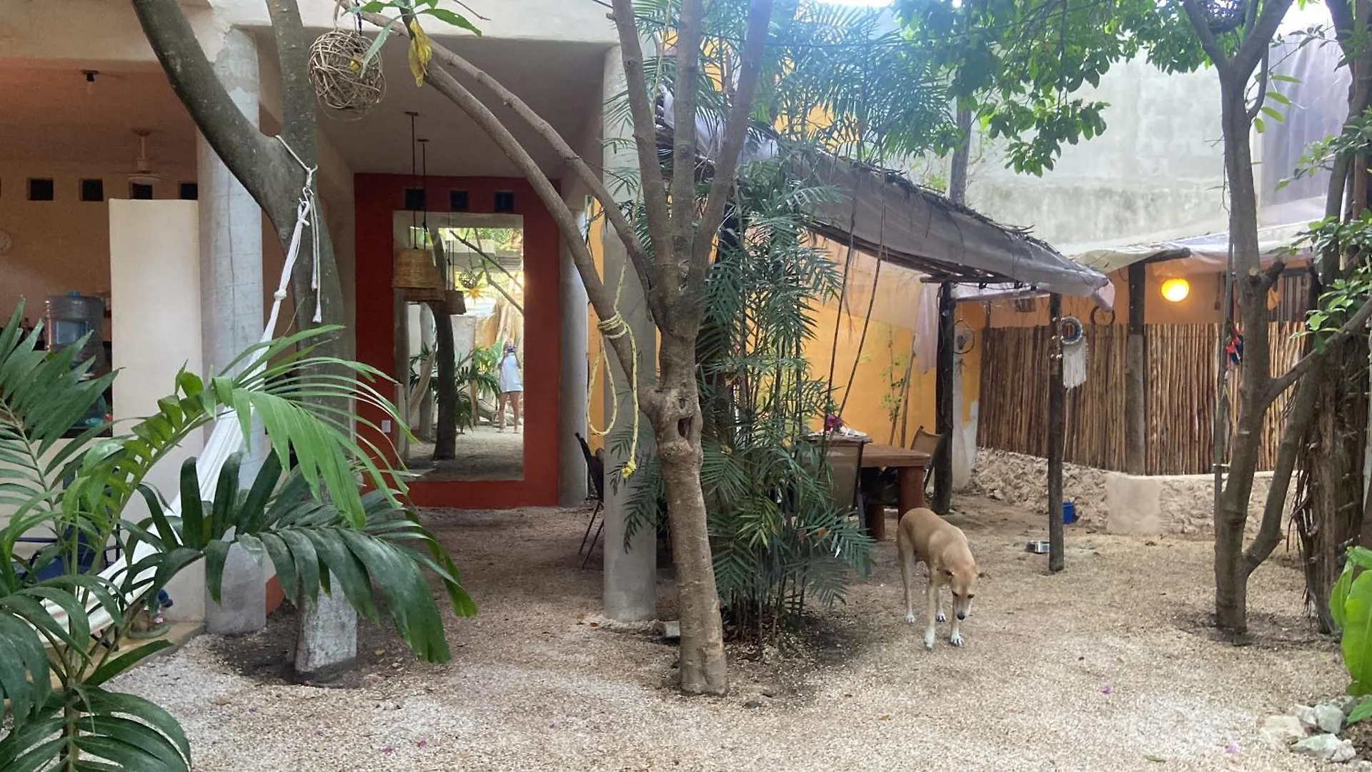 Quinta Salamandra Hotel Playa del Carmen 0*,  Mexico